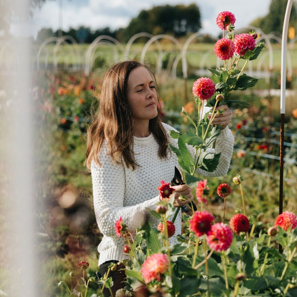 Emilia plockar blommor i Farmors trädgård