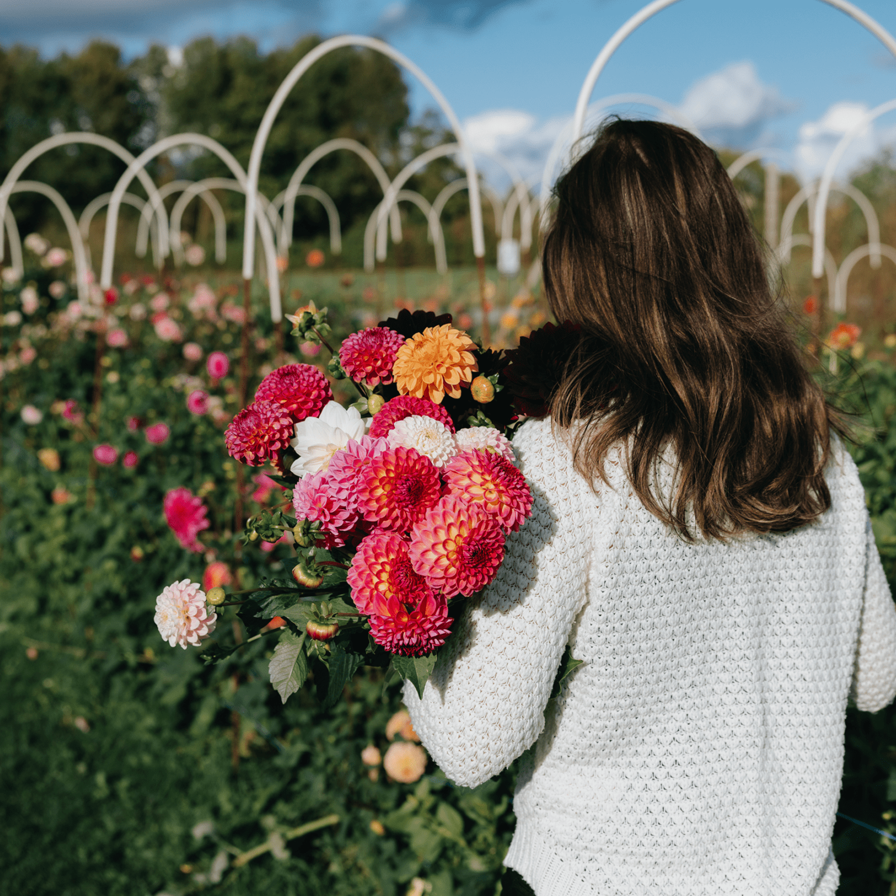 Självplock av blommor