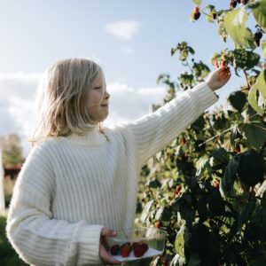 Aktivitet- Barnens bärsjälvplock