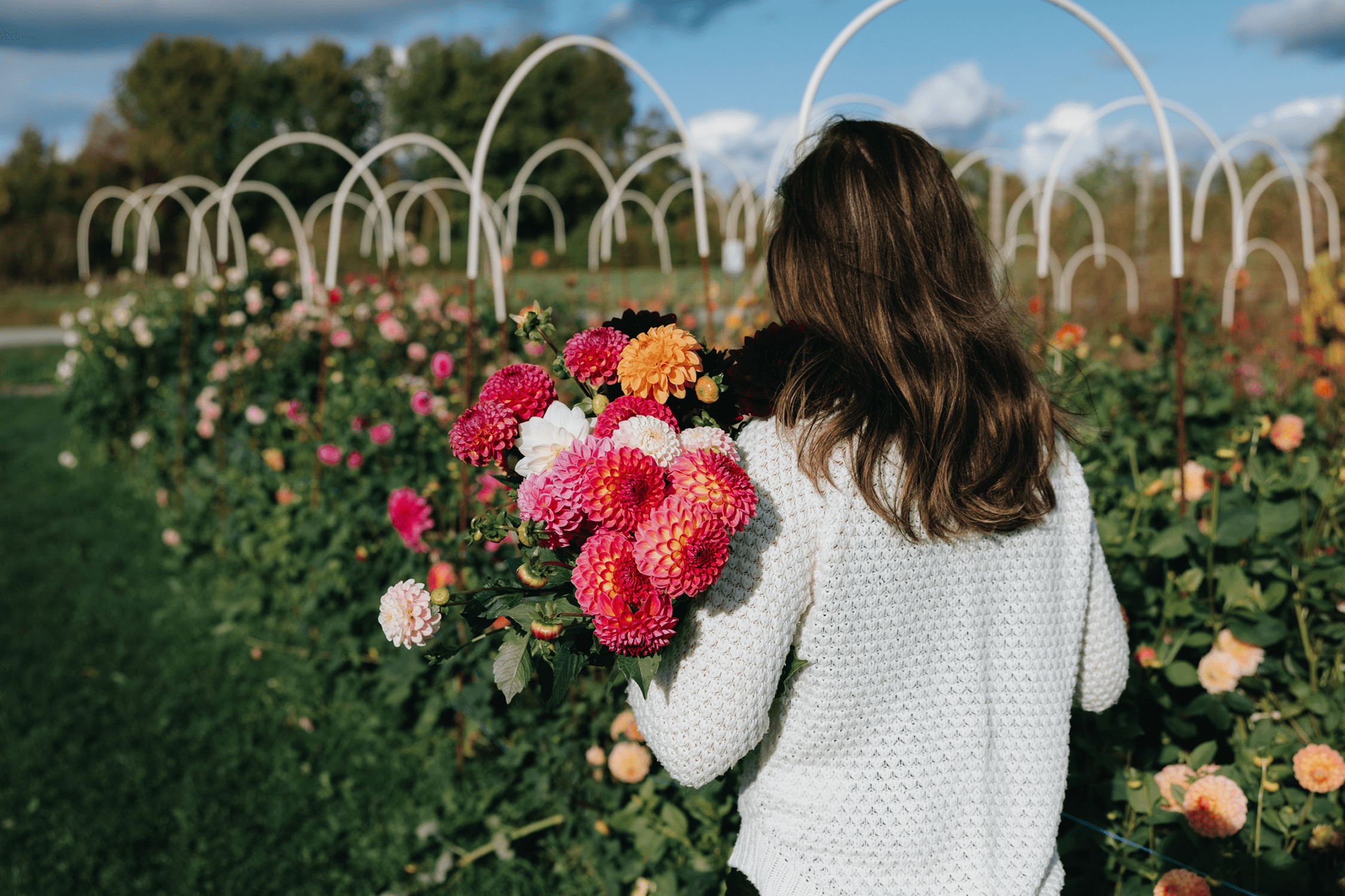 Självplock av blommor